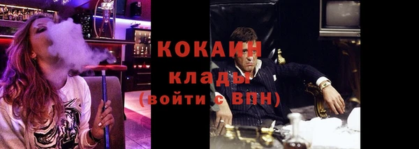 дмт Арсеньев