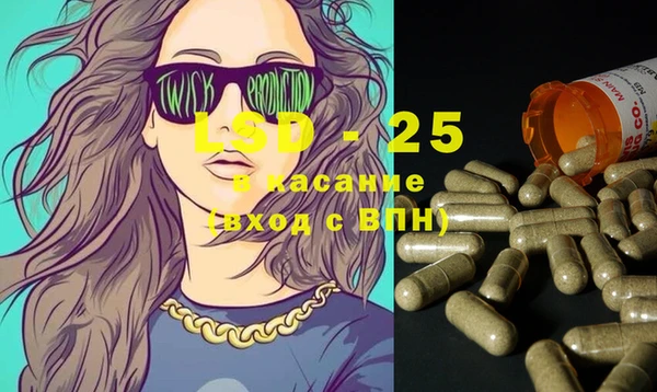 стафф Аркадак