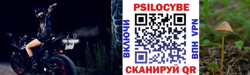 Галлюциногенные грибы Psilocybe  даркнет сайт  Сурск 